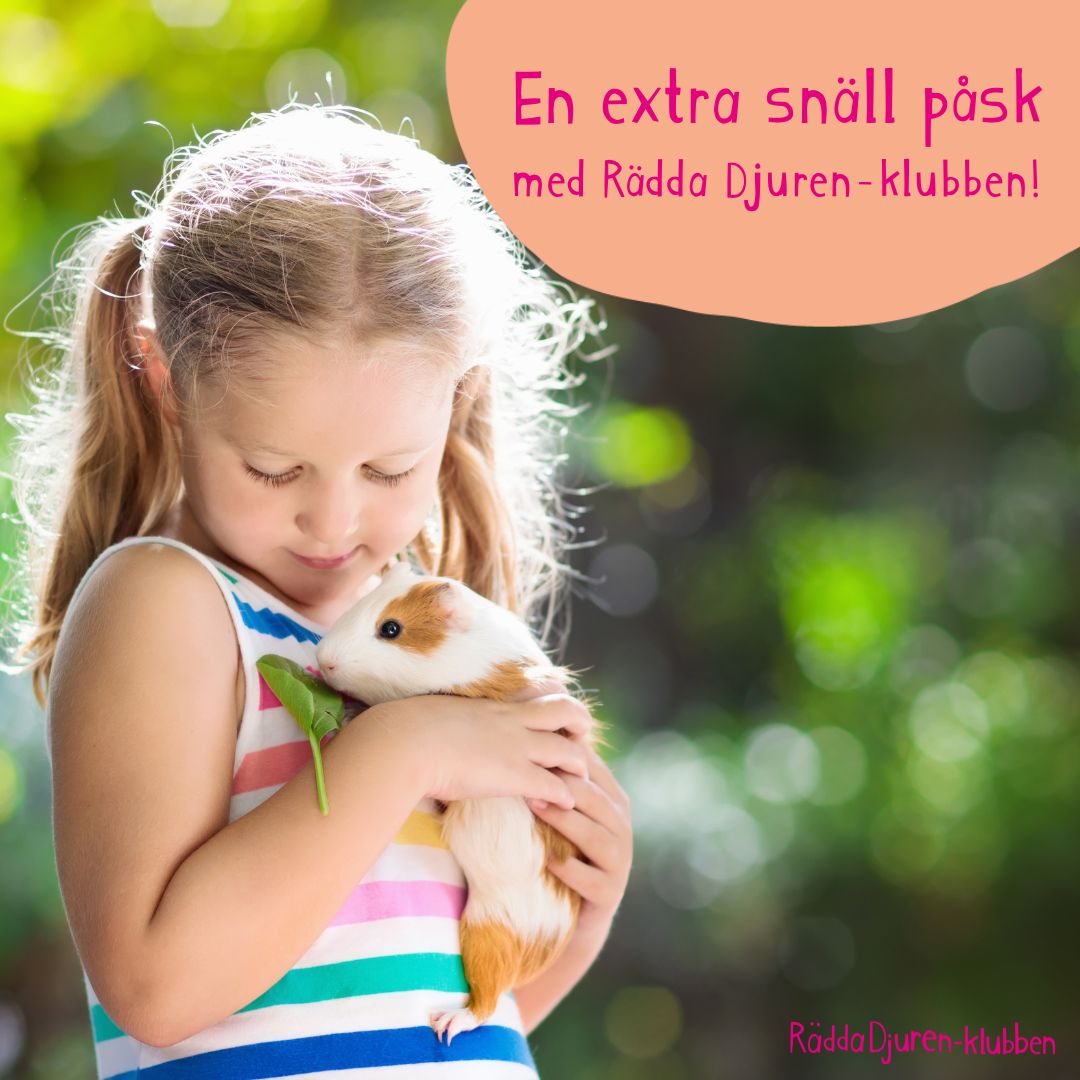 Bild borttagen.