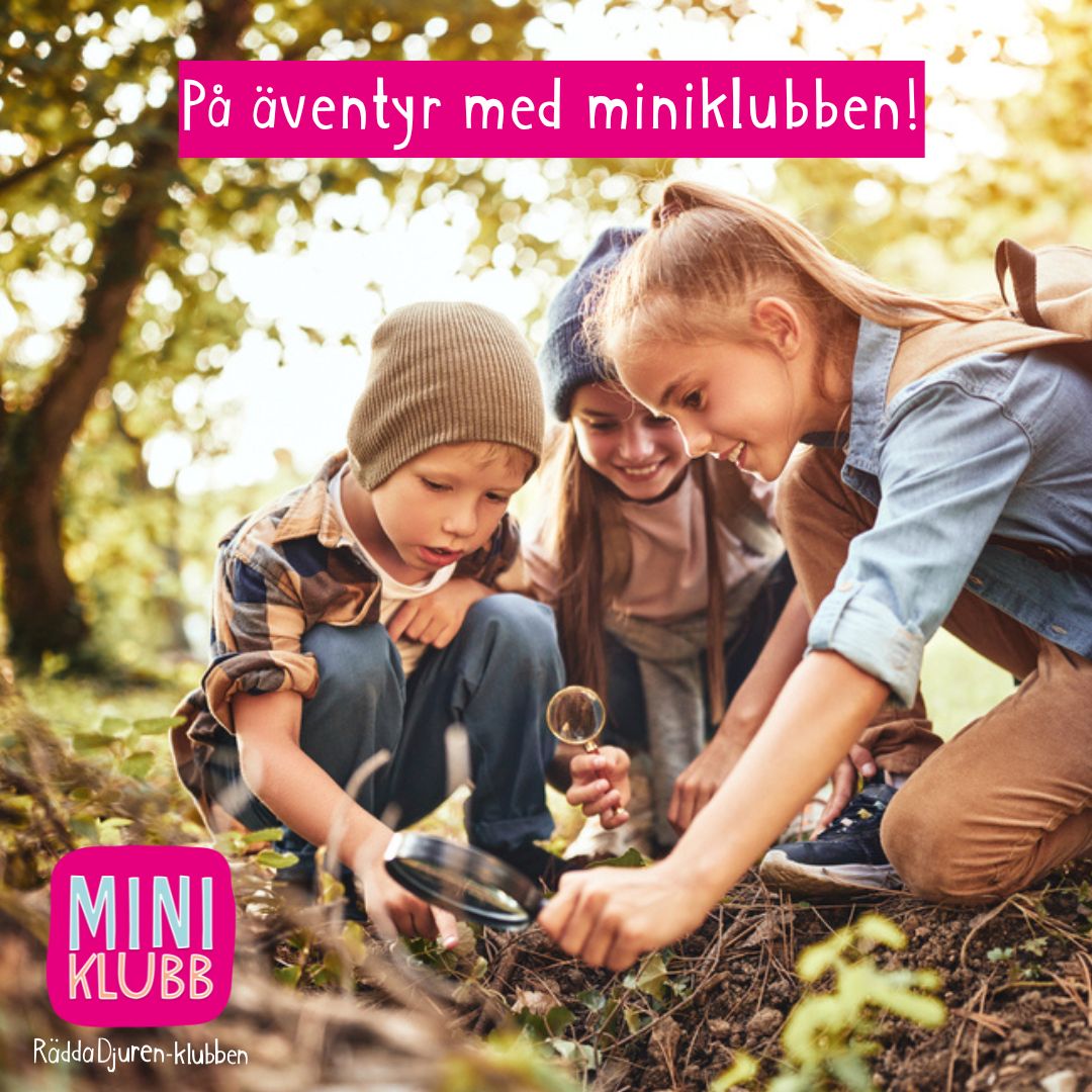 Bild borttagen.
