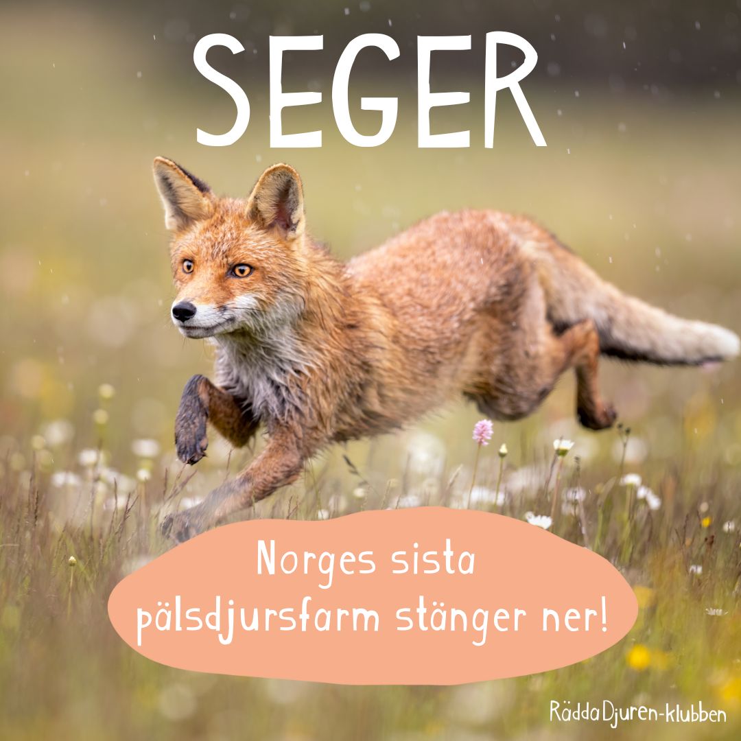 Bild borttagen.