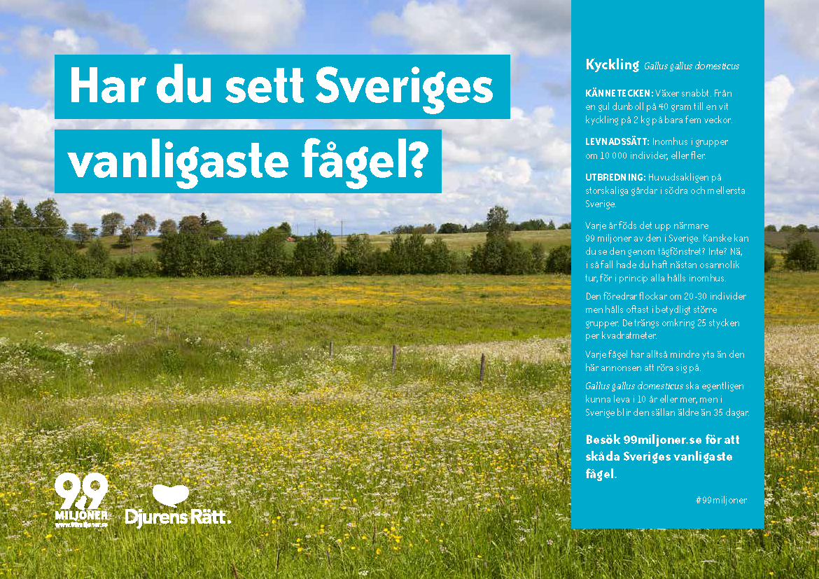 Bild borttagen.